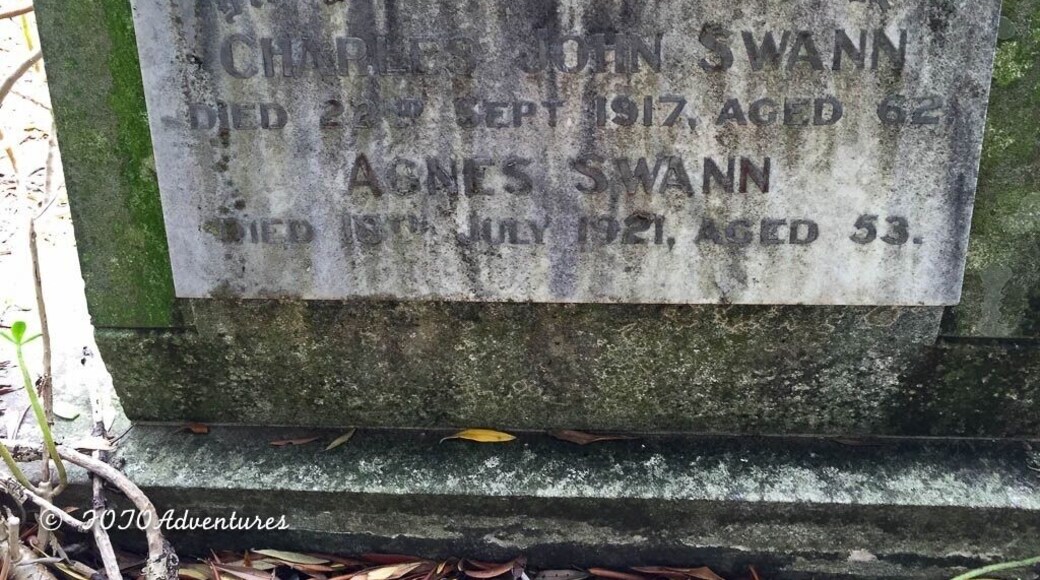 If they have their way, the politicians have decreed that all of the graves in this cemetery will be removed soon to make way for a new airport that the people of the Blue Mountains do not want!
More images at :http://tinyurl.com/gumc7u8