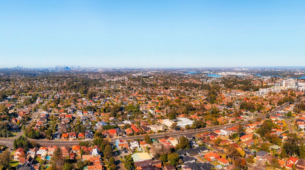 D Ryde Day Lane Cove to CBD Pan