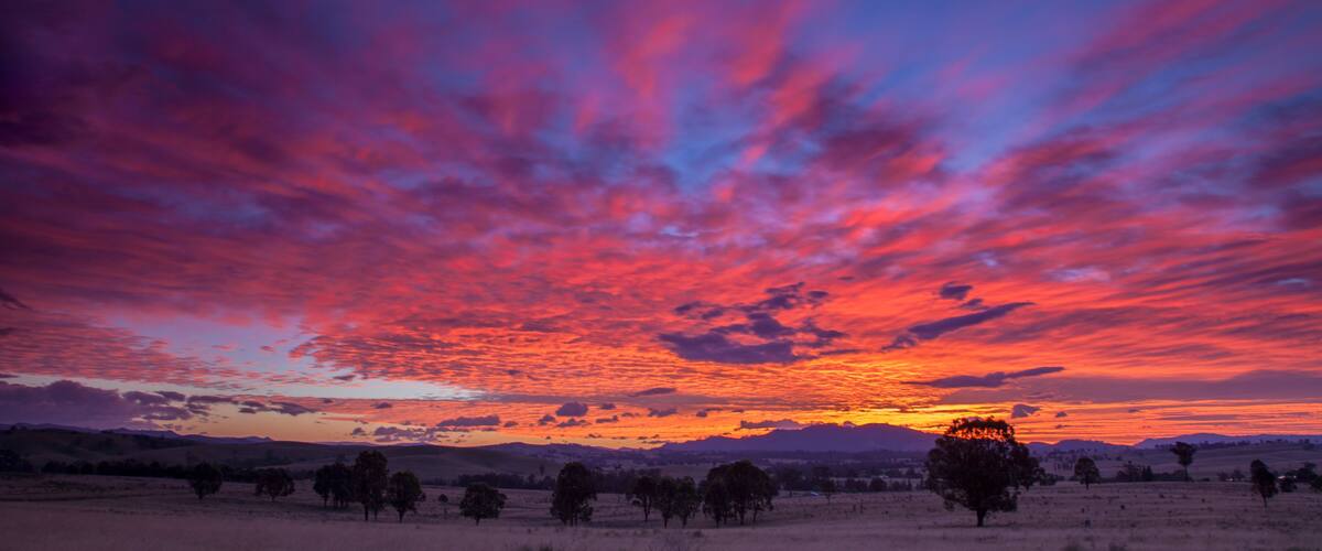 A sunset over a grassy field with scattered trees and distant hills.