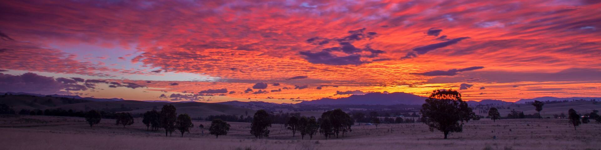 A sunset over a grassy field with scattered trees and distant hills.
