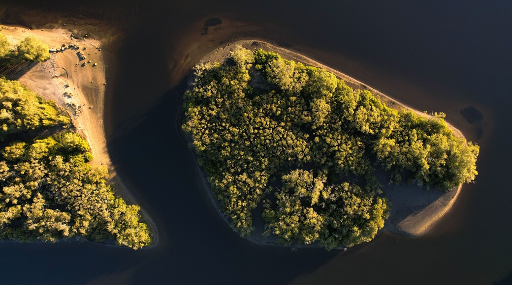An aerial view of a coastal landscape with a large forested island and a smaller peninsula.