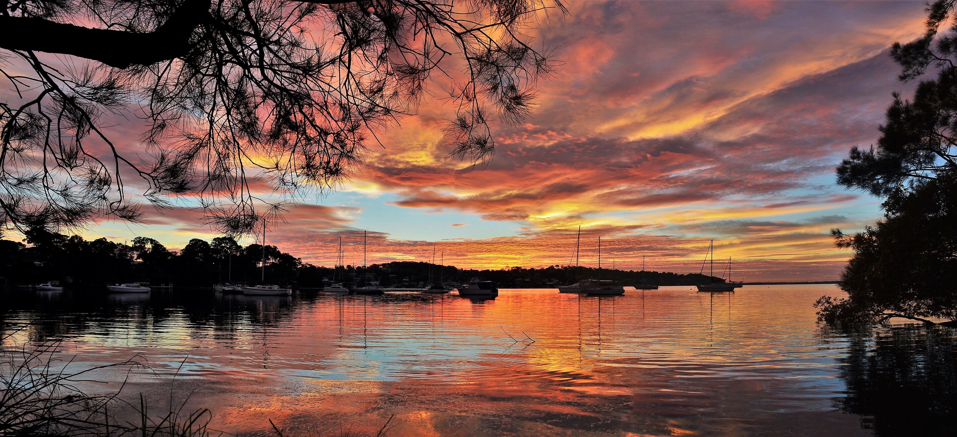 A sunset over a calm lake with boats, trees, and a distant shoreline.