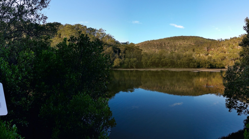 A calm lake surrounded by dense greenery and hills.