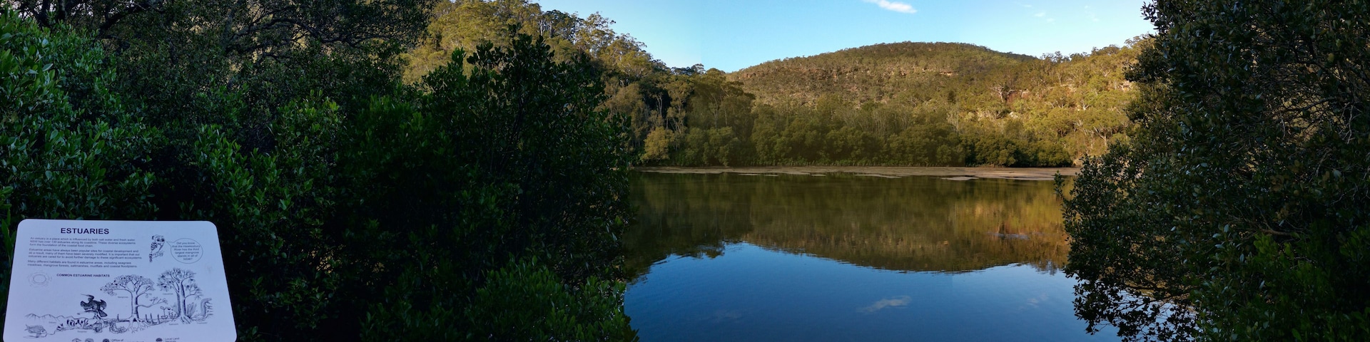 Ein ruhiger See, umgeben von dichtem Grün und Hügeln.
