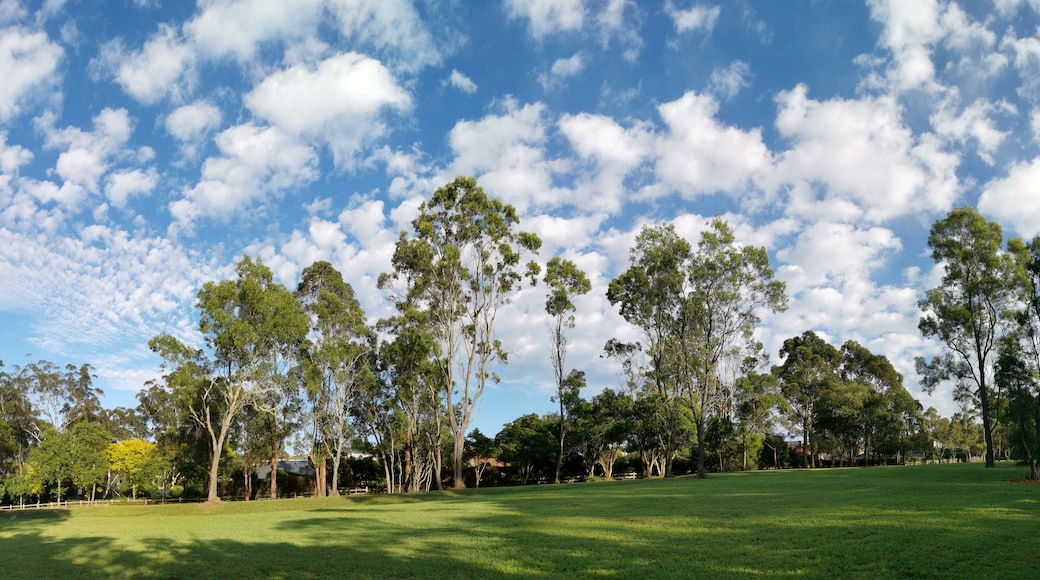 A grassy field with tall trees and a blue sky with clouds.