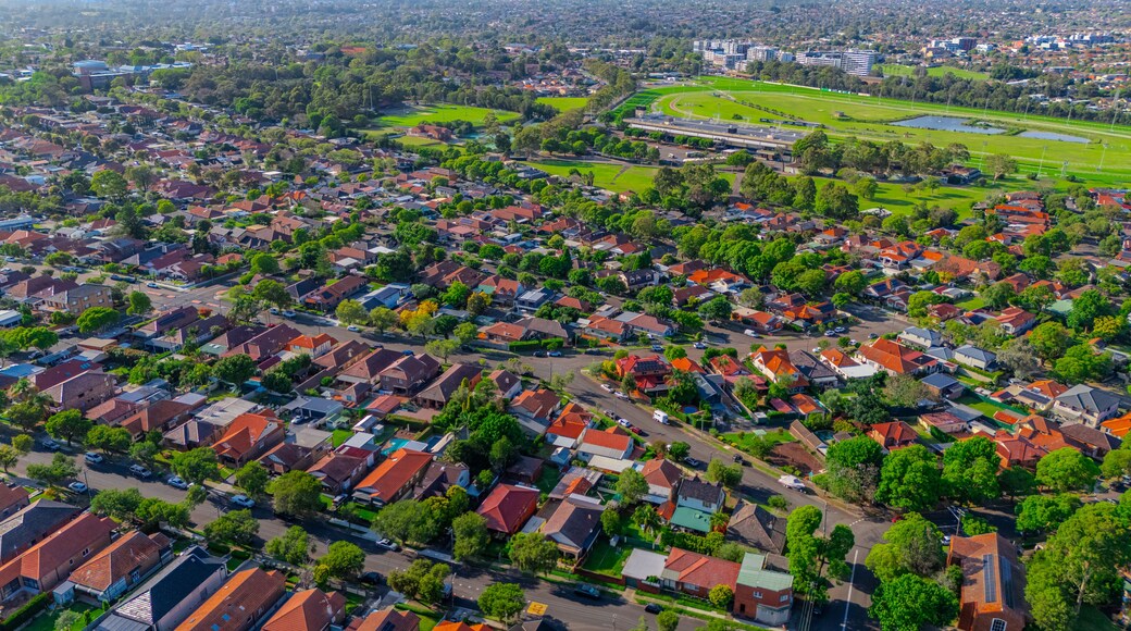 Panorama aerial drone view of western Sydney Suburbs of Canterbury Burwood Ashfield Marrickville Campsie with Houses roads and parks in Sydney New South Wales NSW Australia