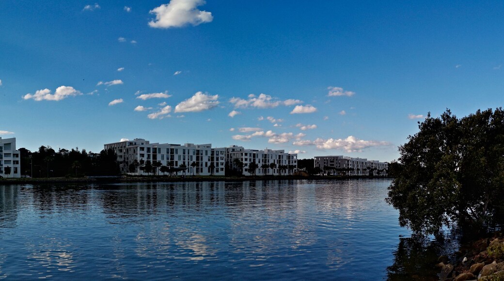 Beautiful panoramic view of a river with reflections of modern apartment buildings, deep blue sky and trees on water, Parramatta river, Wilson Park, Silverwater, Sydney, New South Wales, Australia