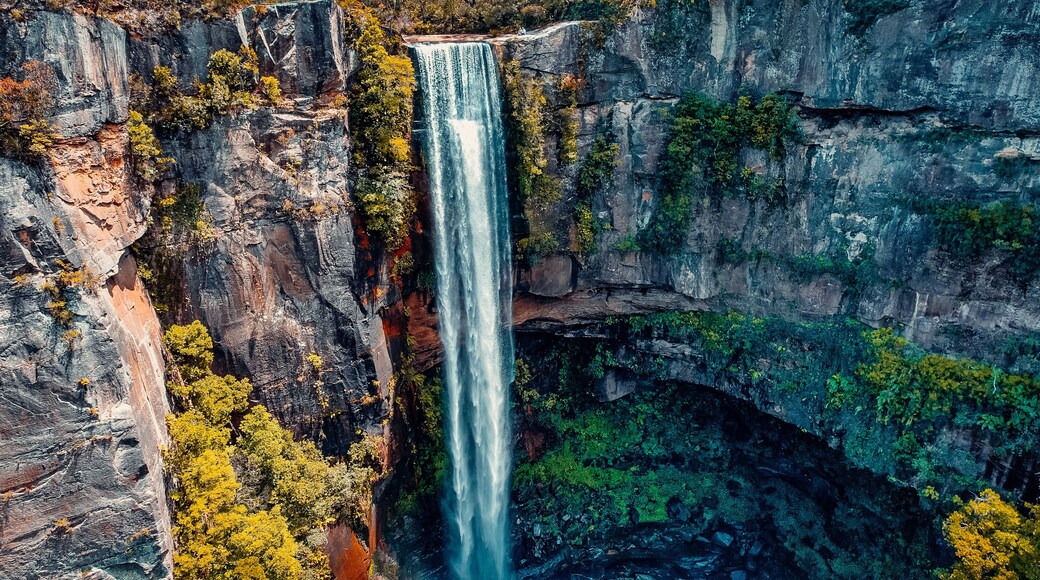 Uma cascata despencando por um penhasco rochoso, cercada por vegetação densa.