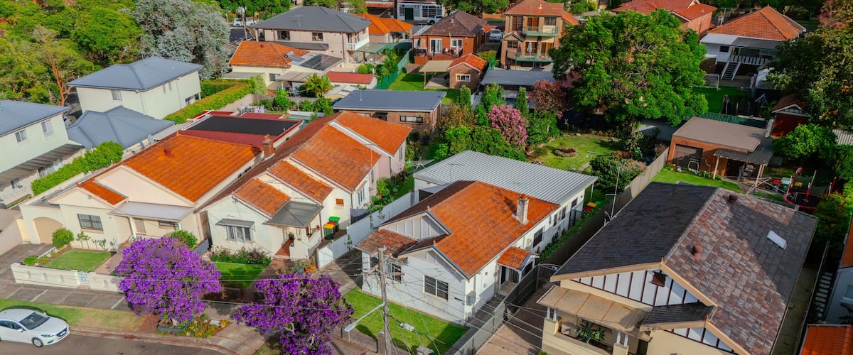 A residential neighborhood with houses, a car, and purple flowering trees.