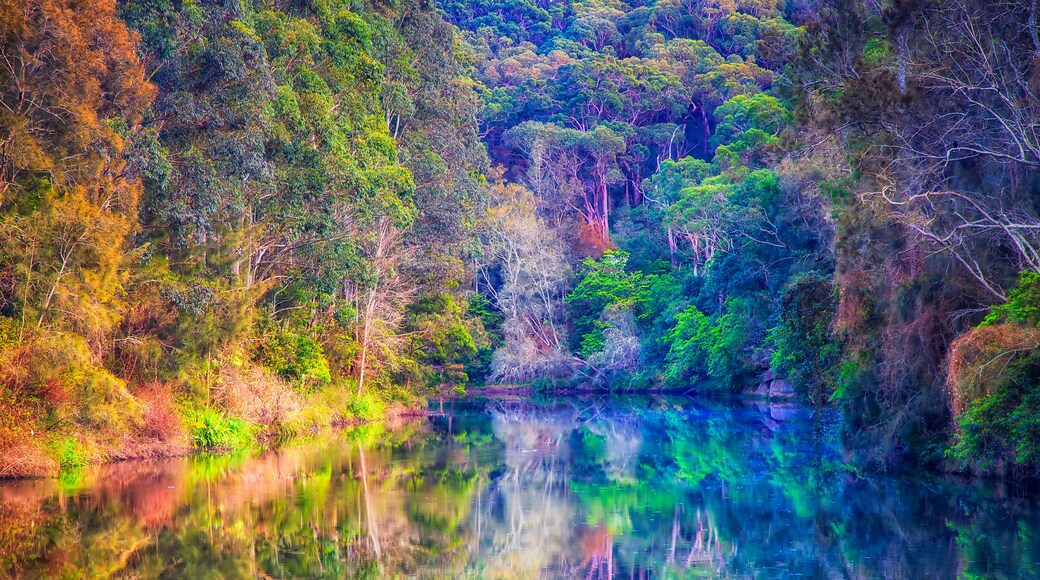 A river reflecting trees and a forested hillside.