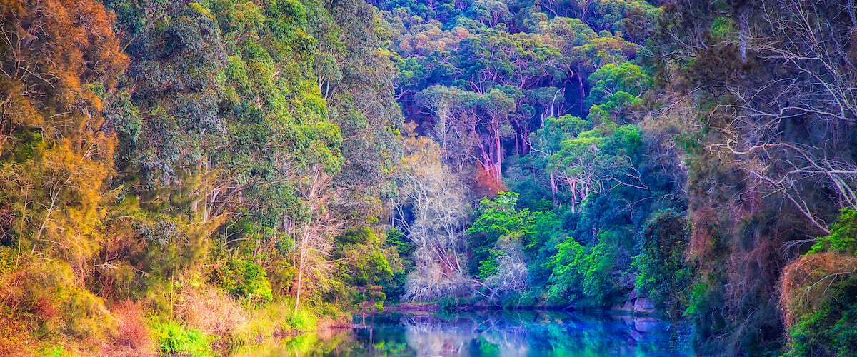 Um rio refletindo árvores e uma encosta arborizada.