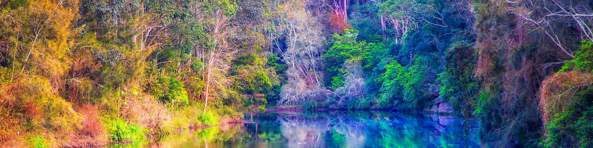 Une rivière dans laquelle se reflètent les arbres et une colline boisée.