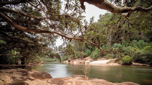 Bob Turners Track is a great track to ease yourself into tougher bush walks.
Great photo opportunities on Colo River be it early morning or evenings. Midday can be difficult and contrasty