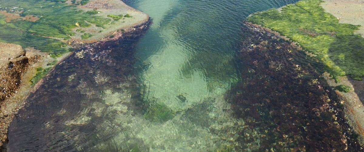 #green figure 8 pools