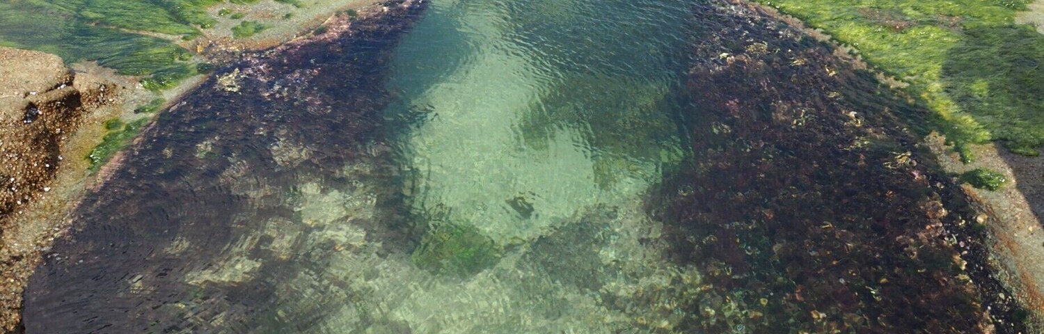 #green figure 8 pools