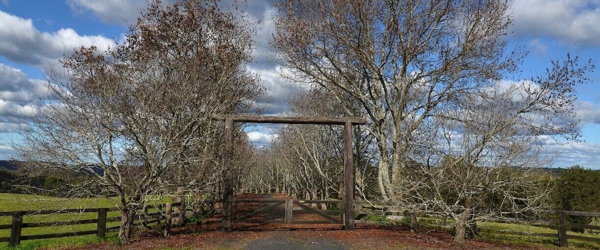 A wooden archway in a park with bare trees and a clear sky.