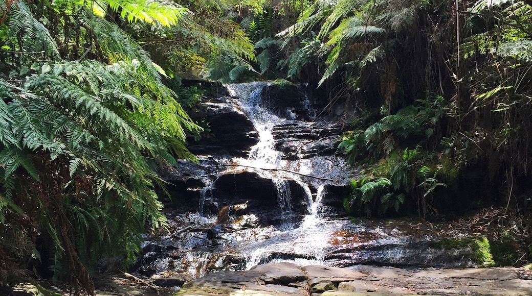 #falls #nature #mountains #calming