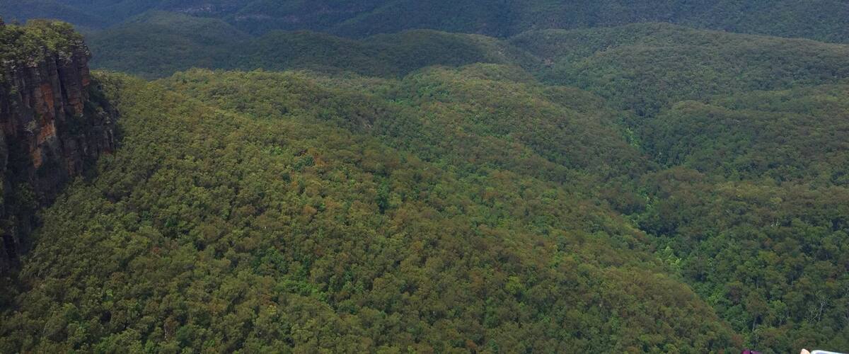 A mountainous landscape with dense forests and a prominent cliff.