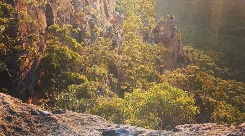 It's like you're standing on the edge of the world, gazing out onto a sea of green.