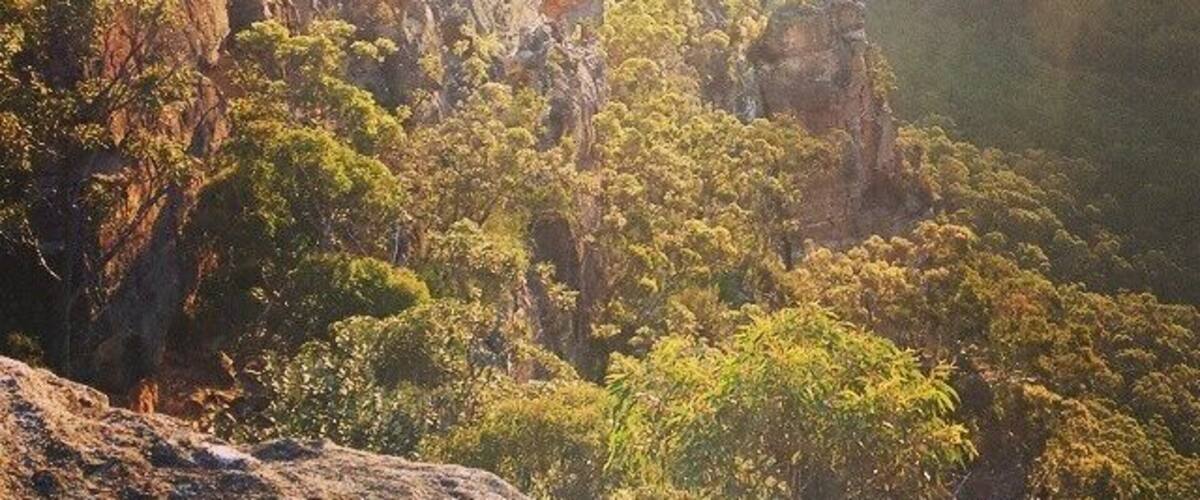 It's like you're standing on the edge of the world, gazing out onto a sea of green.