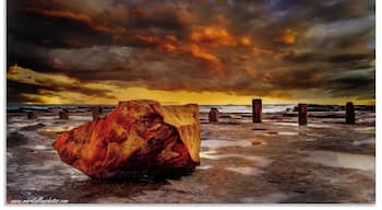 rock ledge with cool ocean views