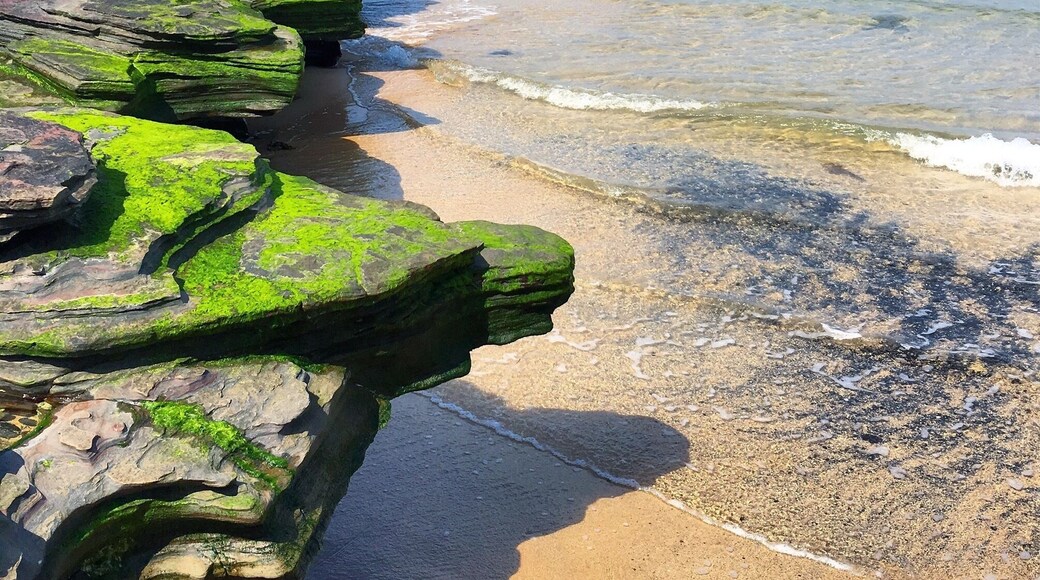 A natural rock formation relaxing by the shore. Extremely pretty with the moss that is hugging it ever so tightly 🌊 #patterns #beachbound