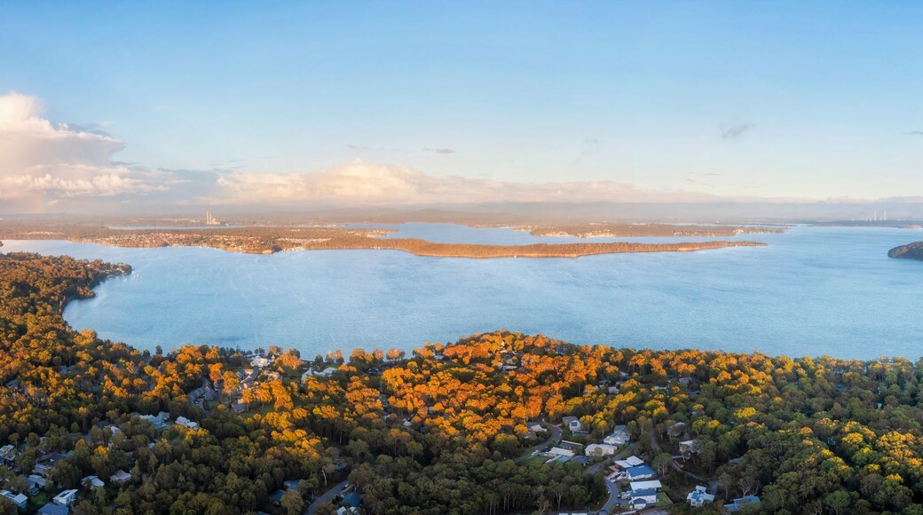 A coastal landscape with dense forests, a large body of water, and distant city lights.