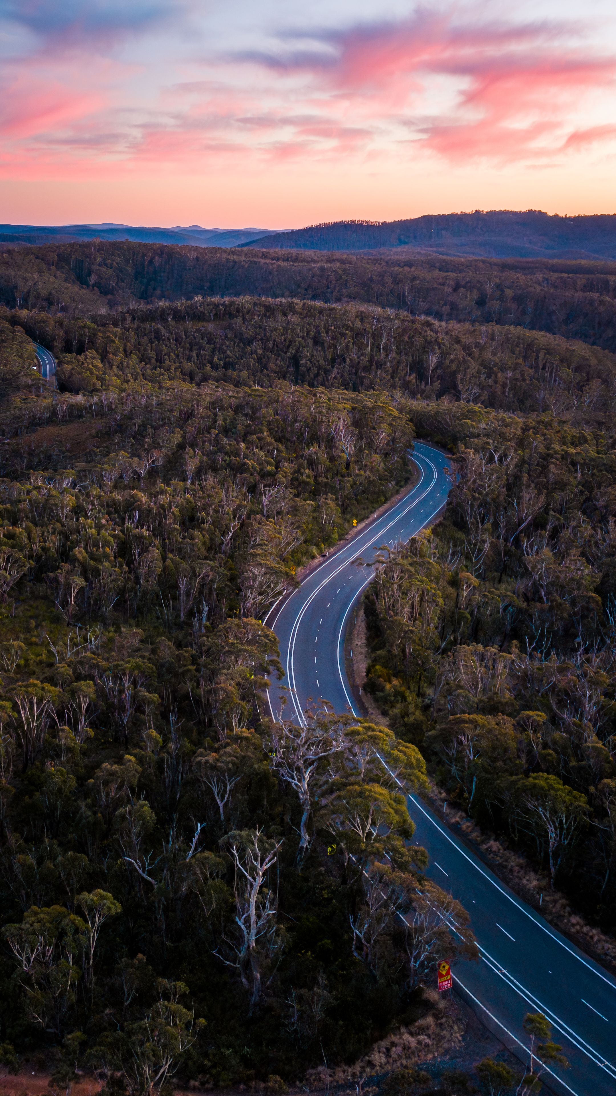 Un camino serpenteante a través de un bosque tupido bajo un cielo al atardecer.