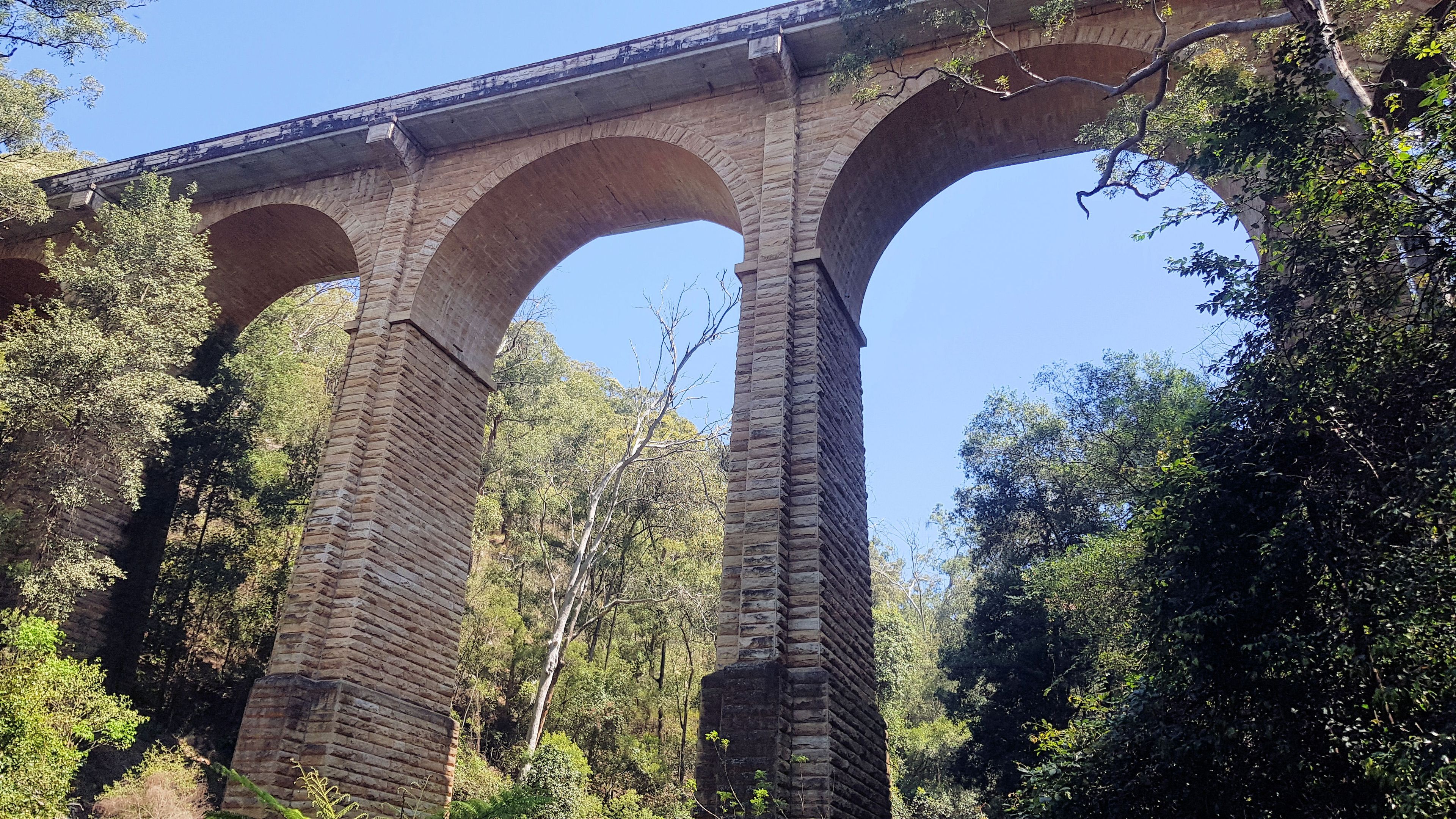 A stone bridge with multiple arches surrounded by dense trees.