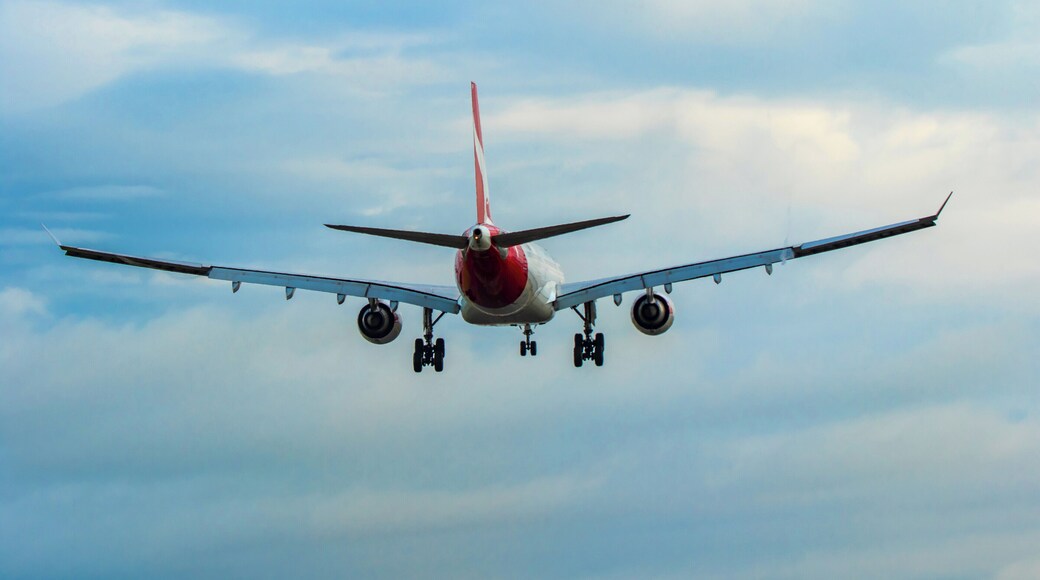 Swamp Road viewing area at Sydney airport