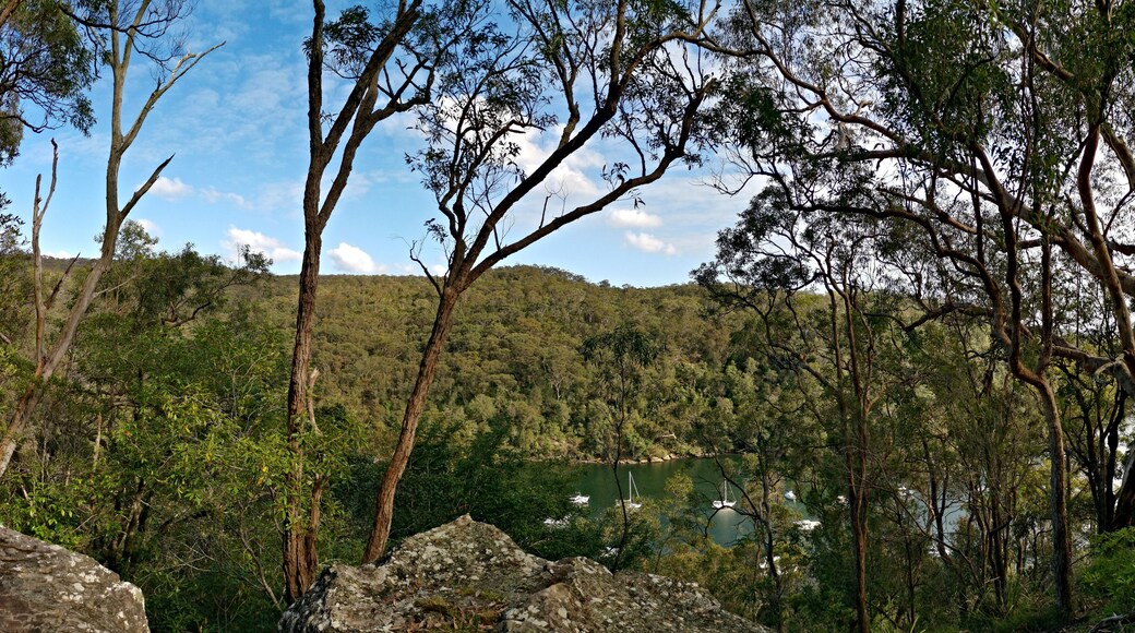 A forested landscape with a lake and boats.