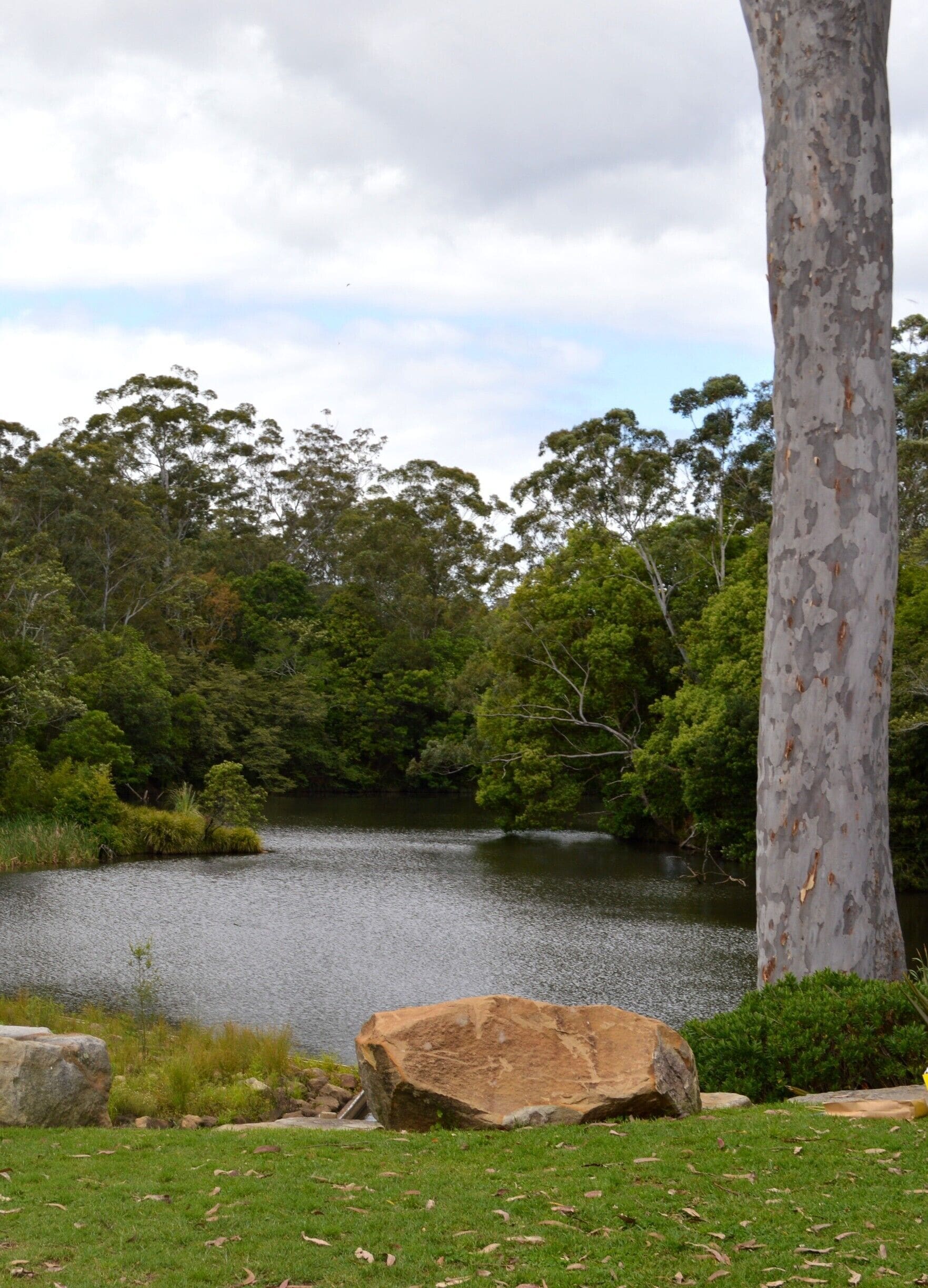 Beautiful location to have a picnic or hire a self guided kayak/canoe for a morning paddle.  This photo was taken at the Wyong Milk Factory in NSW.