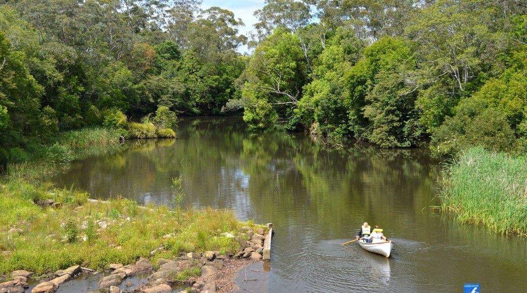 Travel down by these old fashioned canoes (or kayaks) which can be hired from the Wyong Milk Factory and see what special flora and fauna you might spot. This is platypus territory.