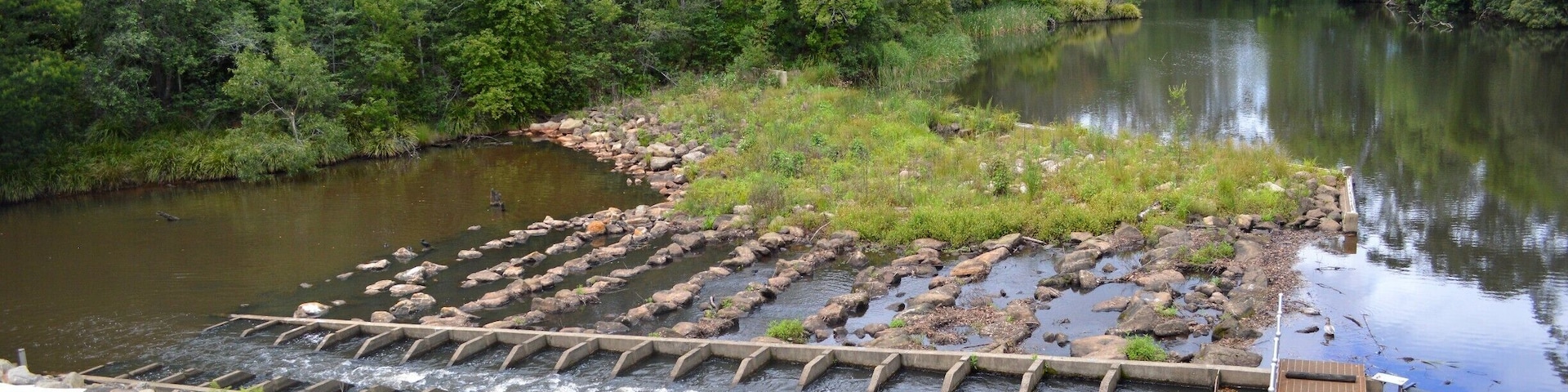 The Wyong River Weir. Incredible man made infrastructure which is helping the river system and its habitants.
Please head over to my facebook blog to read a little more about the Wyong Milk Factory
