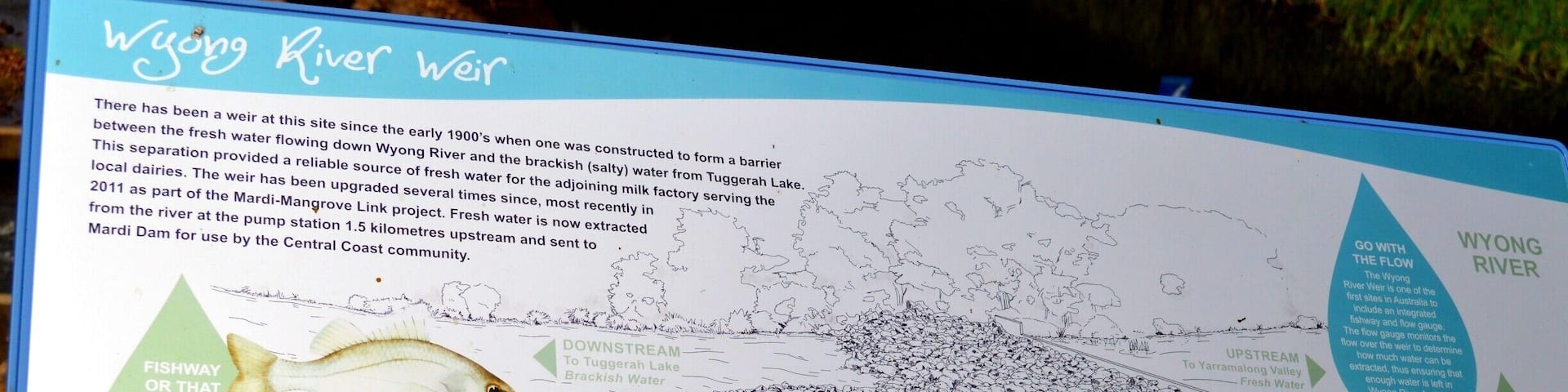 Info on the Wyong River Weir and why not see if you can spot a Platypus?
Please head over to my facebook blog to read a little more about the Wyong Milk Factory.