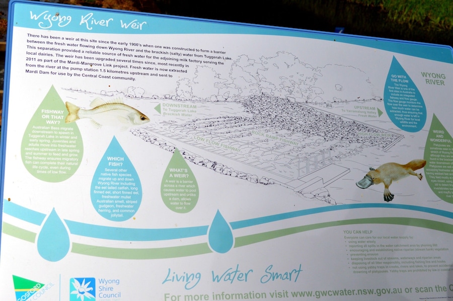 Info on the Wyong River Weir and why not see if you can spot a Platypus?  
Please head over to my facebook blog to read a little more about the Wyong Milk Factory.
