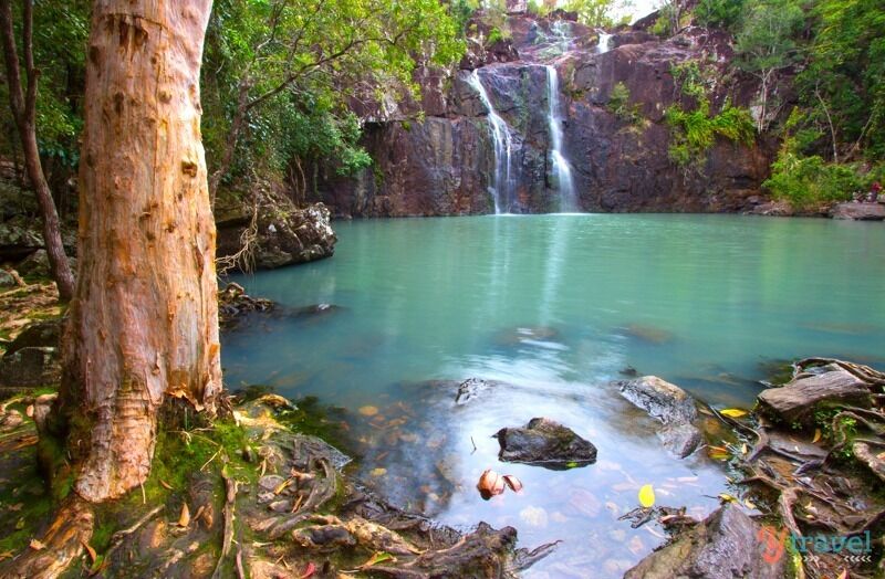 There wasn't a lot of water flowing over the waterfall when we visited, but Cedar Creek Falls is still a pretty place to visit, just a 30 minute drive from Airlie Beach in Queensland.

Would be nice place for a swim in summer!
