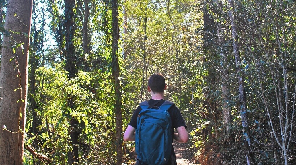 Hiking in D'Aguilar National Park.
What I love about Australia is the thousands of National Parks that you can visit in this country. You can do some hiking, picnic, camping, bird-watching and many more acitivities in these national parks. This photo was taken in D'Aguilar National Park, just 15 minutes away from the City Centre and is accessible by public transport. So if you want some time away from the hustle and bustle of the city, take a 2 hour break and do the circuit in D'Aguilar National Park.
But beware of bush turkeys and dragon lizards!
For more information: http://www.nprsr.qld.gov.au/parks/daguilar/pdf/daguilar-visitor-guide.pdf
#hiking