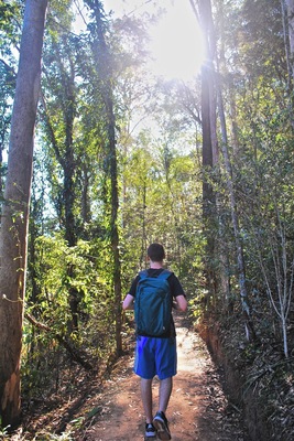 Hiking in D'Aguilar National Park.
What I love about Australia is the thousands of National Parks that you can visit in this country. You can do some hiking, picnic, camping, bird-watching and many more acitivities in these national parks. This photo was taken in D'Aguilar National Park, just 15 minutes away from the City Centre and is accessible by public transport. So if you want some time away from the hustle and bustle of the city, take a 2 hour break and do the circuit in D'Aguilar National Park.
But beware of bush turkeys and dragon lizards!
For more information: http://www.nprsr.qld.gov.au/parks/daguilar/pdf/daguilar-visitor-guide.pdf
#hiking