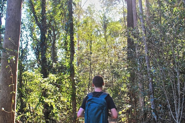 Eine Person geht auf einem unbefestigten Waldweg.