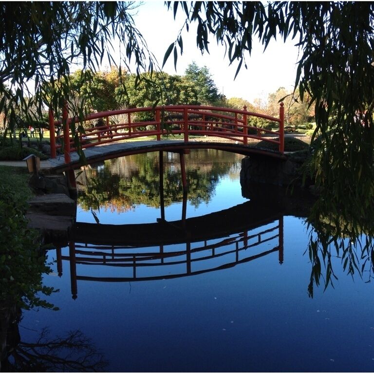 Beautiful fall day in Toowoomba