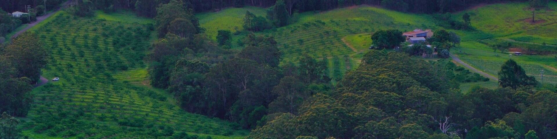 A mountainous landscape with a prominent peak and lush green vegetation.
