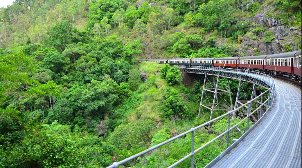 Kuranda Scenic Railway Rounding a bend in Queenland Australia