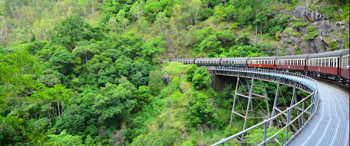 A train on a bridge surrounded by dense green forest.