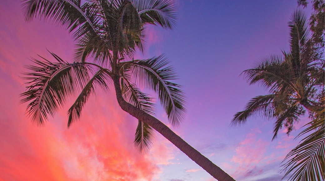 Yewwwww Sunset Bay was on fire tonight! 🌅🐟⛵️🌴😀
#meetmackayregion #thisisqueensland #seeaustralia #sunset #bestof5