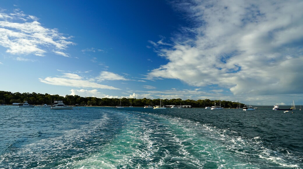 A marina with several sailboats and yachts docked.