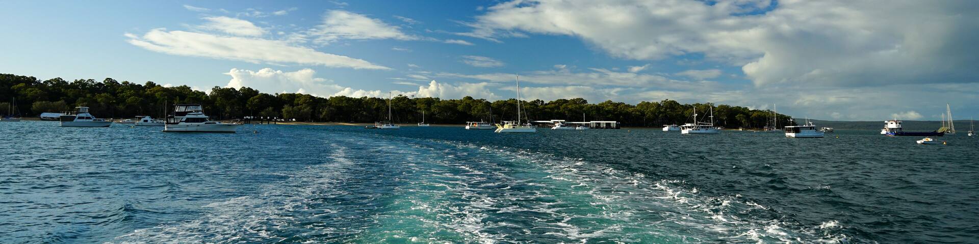 A marina with several sailboats and yachts docked.