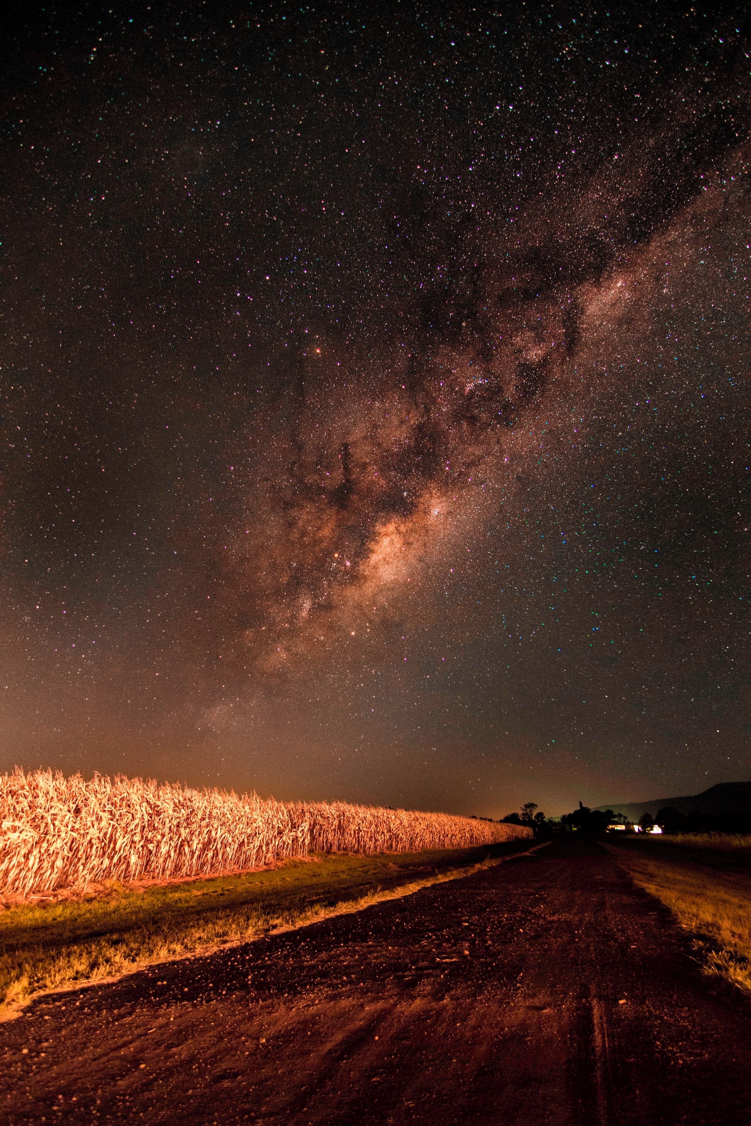 A rural road at night with a starry sky and the Milky Way visible.