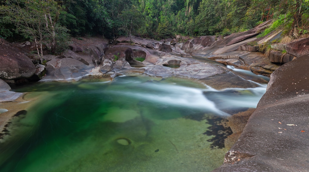 A clear, greenish stream flowing over rocks in a forested area.