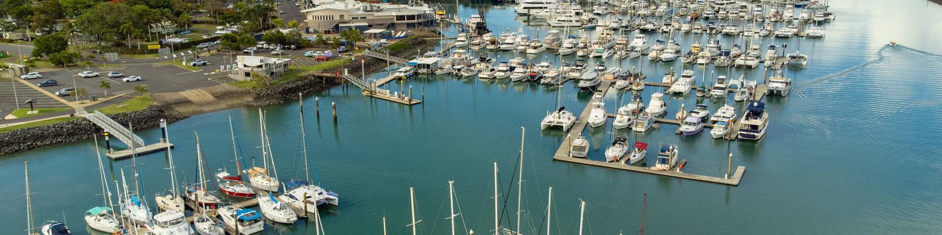 A marina with numerous boats docked, a bridge, and buildings in the background.